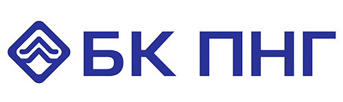 Логотип БК ПНГ проект
